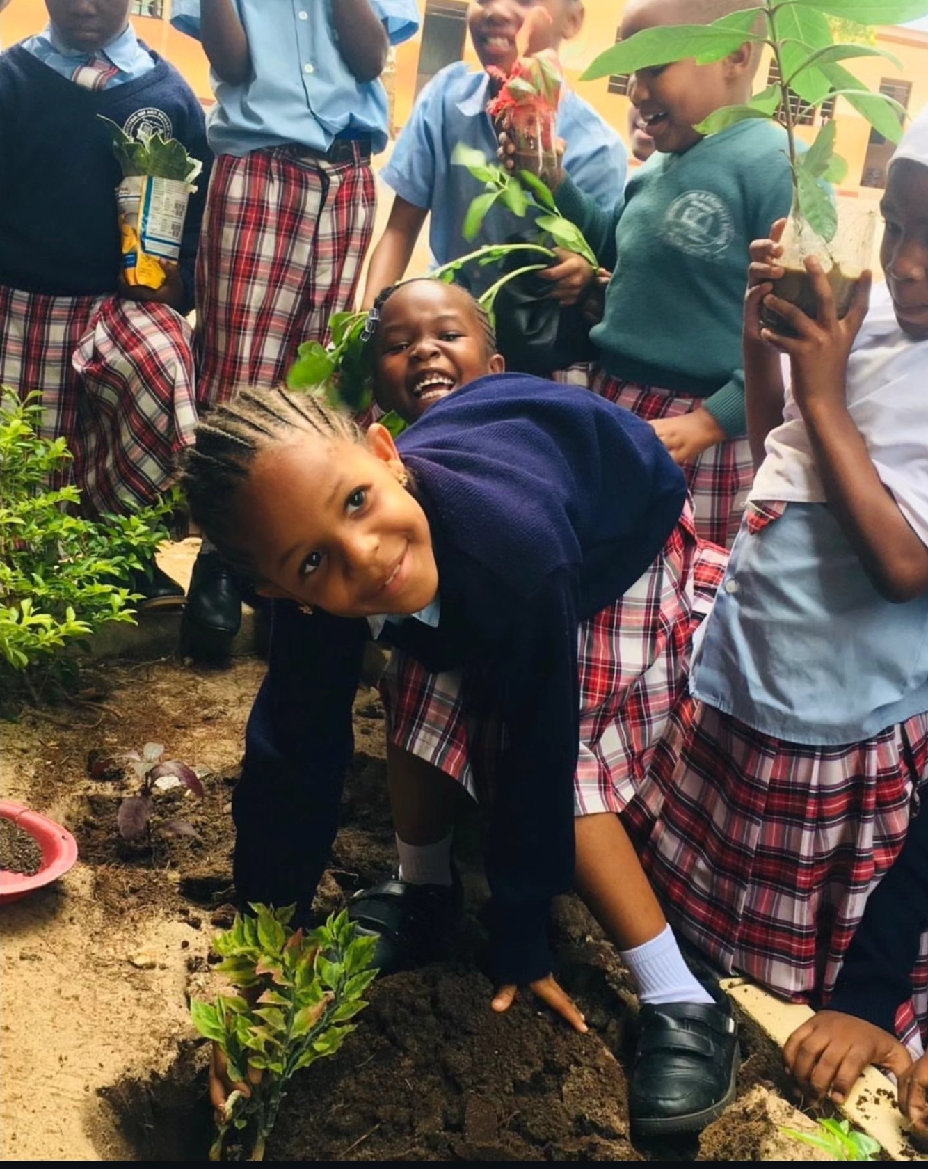 Students taking part in an activity